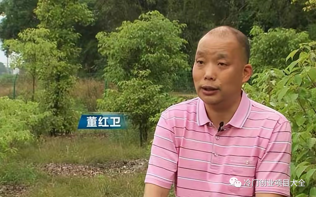 创业故事汇：放弃黄酒生意，转行种树，凭借20亩地，年收入2000多万